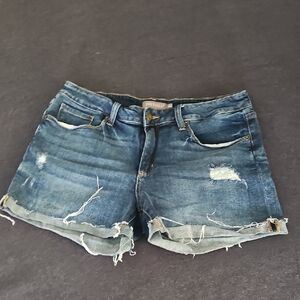 Just USA Blue Distressed Women Shorts